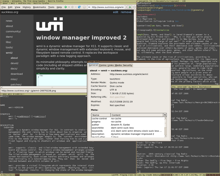 File:Wmii-3.6 screenshot.png