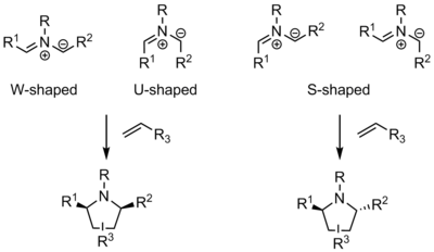 Azomethine ylide shapes