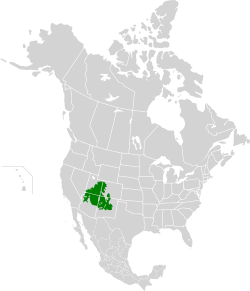 Colorado Plateau Shrublands map.svg