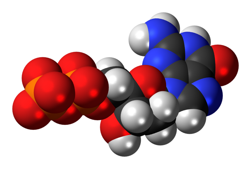 File:Deoxyguanosine-diphosphate-anion-3D-spacefill.png