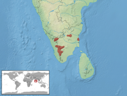 Hemiphyllodactylus aurantiacus distribution.png