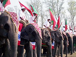 Kaziranga Elephant Festival 2009.jpg