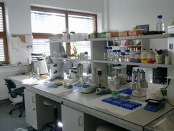 Laboratorium-biologia-molekularna.jpg