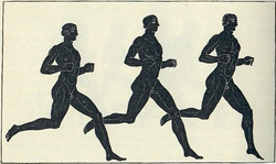 Long Distance Runners, Ancient Greece, Amphora.png