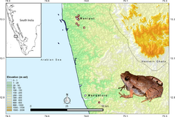 Microhyla laterite distribution.png