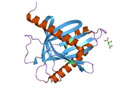 PDB 1em2 EBI.jpg