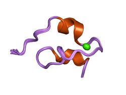 PDB 1pb5 EBI.jpg