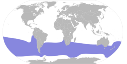 Procellaria aequinoctialis map.svg