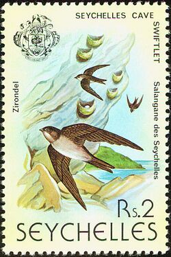 Seychelles swiftlet 1979 stamp.jpg