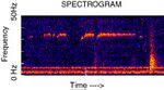 Spectrogram of the train sound