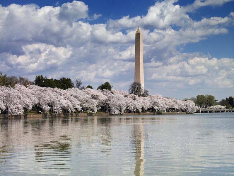 File:Washington Monument, Washington, D.C. 04037u original.jpg