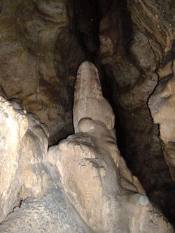 Witches' Cave stalagmite.jpg