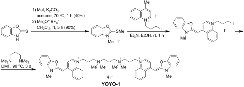 YOYO-1 synthesis