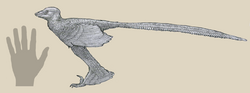 Zhongjianosaurus.png