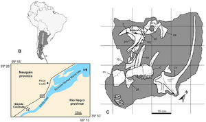 three images: map of South America, map of the region where fossils found, an image of the fossil remains found