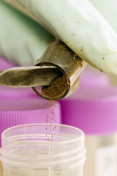 File:CSIRO ScienceImage 4522 Testing for pathogens in agricultural soil containing biosolids.jpg