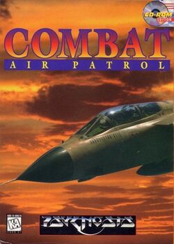 Combat Air Patrol.jpg