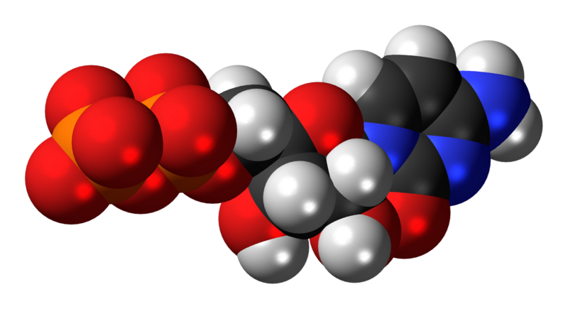 File:Cytidine diphosphate anion 3D spacefill.png
