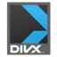 DivX container.png
