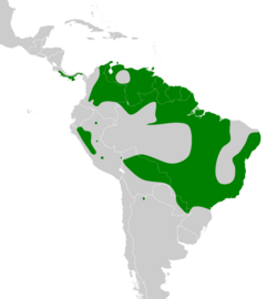 Elaenia chiriquensis map.svg