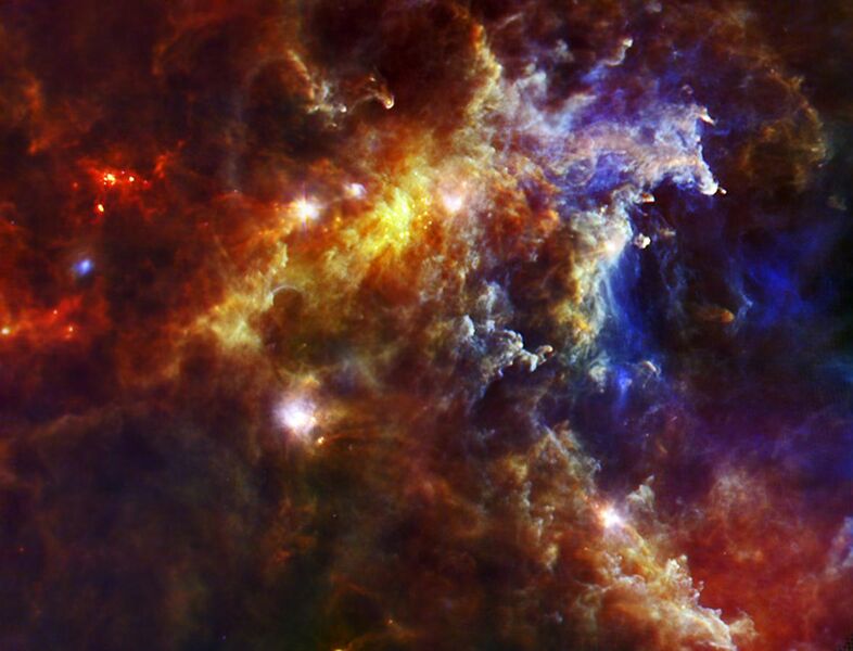 File:Embryonic Stars in the Rosette Nebula.jpg