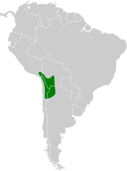 Geositta punensis map.svg