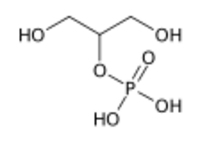 Glycerol 2-phosphate.svg