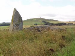 Inschfield Stone Circle with Dunnideer behind - geograph.org.uk - 929294.jpg