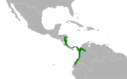 Leucopternis semiplumbeus map.svg