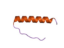 PDB 1c26 EBI.jpg