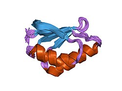 PDB 1tl5 EBI.jpg