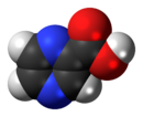 Space-filling model of the pyrazinoic acid molecule