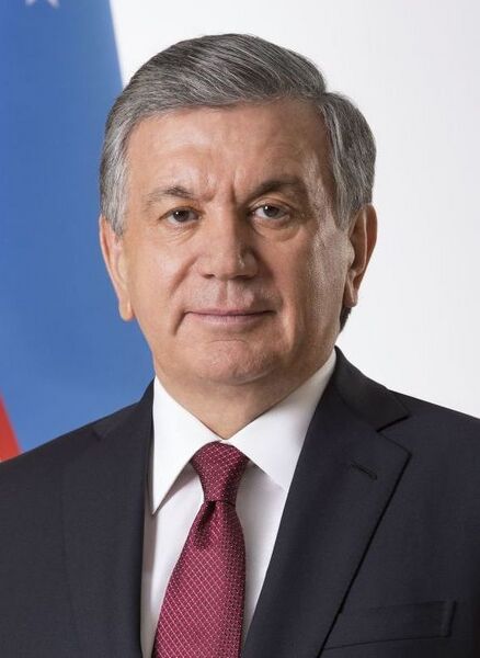 File:Shavkat Mirziyoyev official portrait (cropped 2).jpg