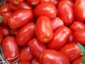 Tomates pera 2017 A2.jpg