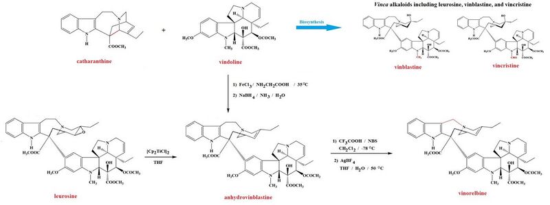 File:Vinorelbine from leurosine and from catharanthine plus vindoline.jpg
