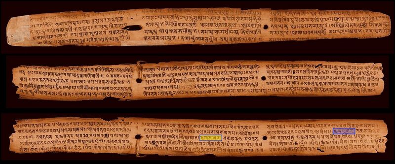 File:828 CE Paramesvaratantra Sanskrit palm leaf manuscipt, Late Gupta script, Nepal.jpg