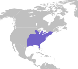 Baeolophus bicolor map.svg