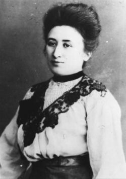 Bundesarchiv Bild 183-14077-006, Rosa Luxemburg.jpg