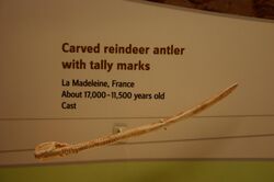 Carved reindeer antler with tally marks (4697848661).jpg