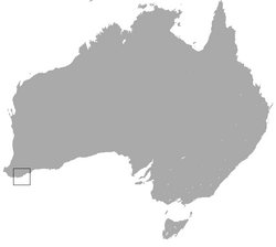 Gilbert's Potoroo area.png