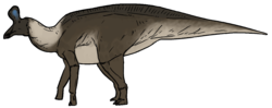 Life reconstruction of Adynomosaurus arcanus.png