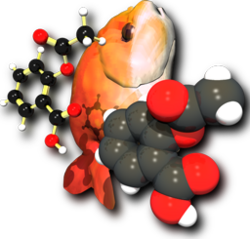 A computer graphics image. On the left is a ball and stick molecule model. In the middle is an orange fish, tail down, face up. On the right is a space-filling molecule model.