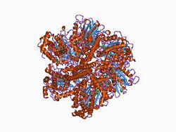 PDB 1bmf EBI.jpg