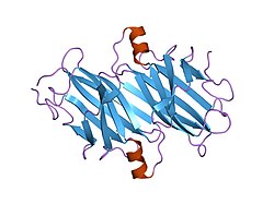 PDB 1ttb EBI.jpg