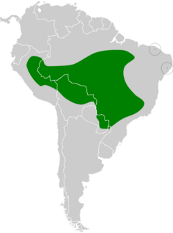 Pipra fasciicauda map.svg