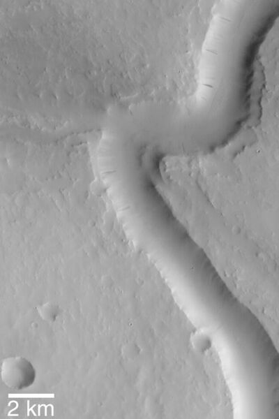 File:Scamander Vallis from Mars Global Surveyor.jpg