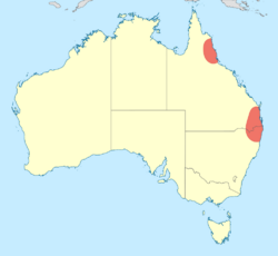 Map showing distribution of Tonyosynthemis in eastern Australia