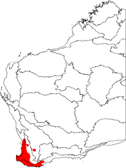 Adenanthos obovatus map.png