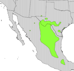 Calia secundiflora range map.png