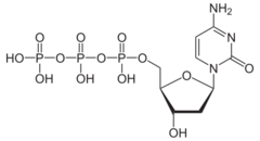 Skeletal formula of deoxycytidine triphosphate